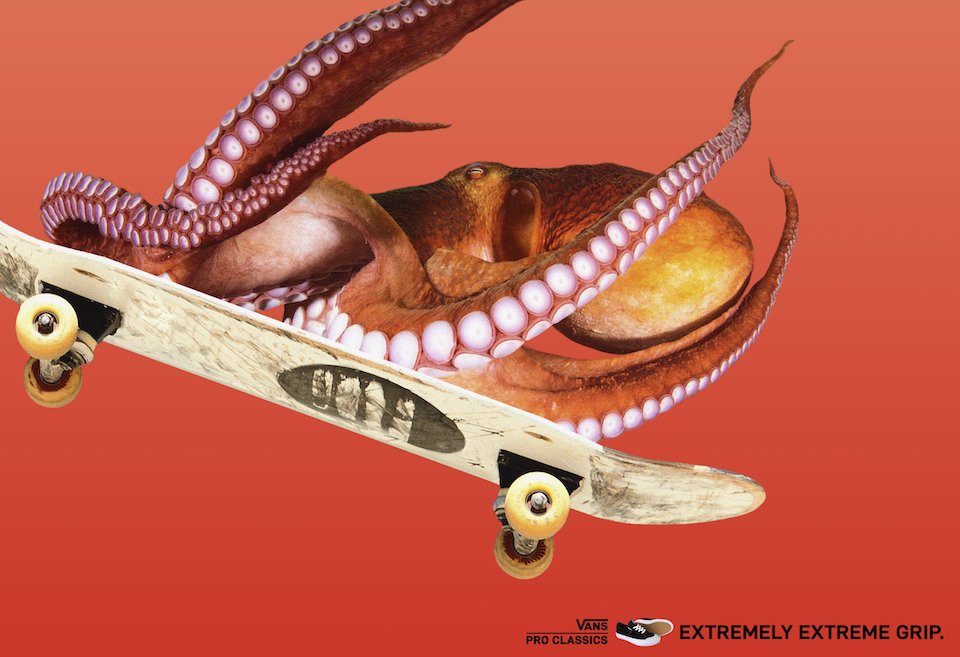 Vans Extremely Extreme Grip