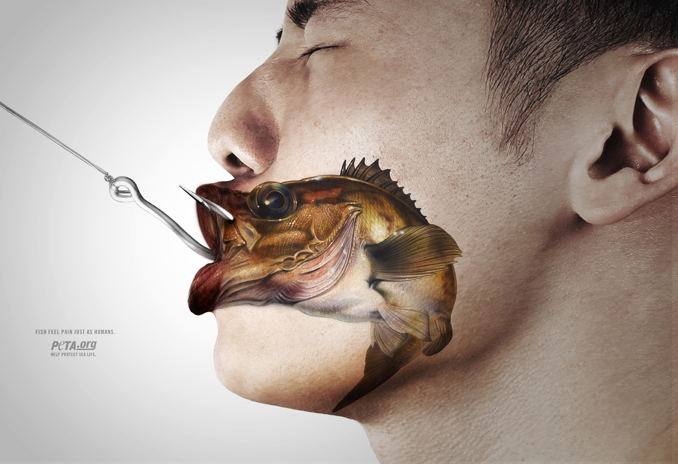 PETA Fish Face Paintings