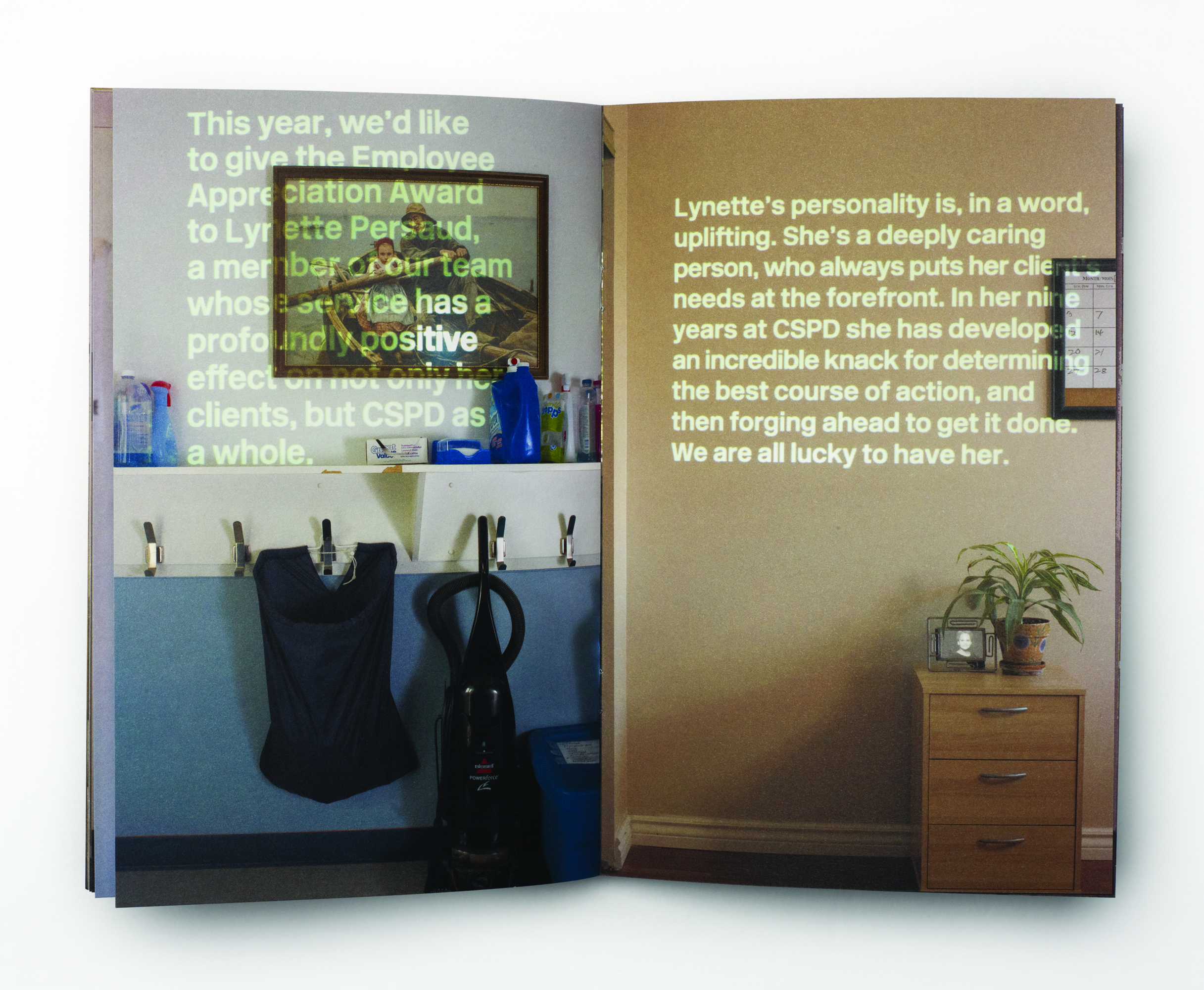 CSPD Annual Report 2010