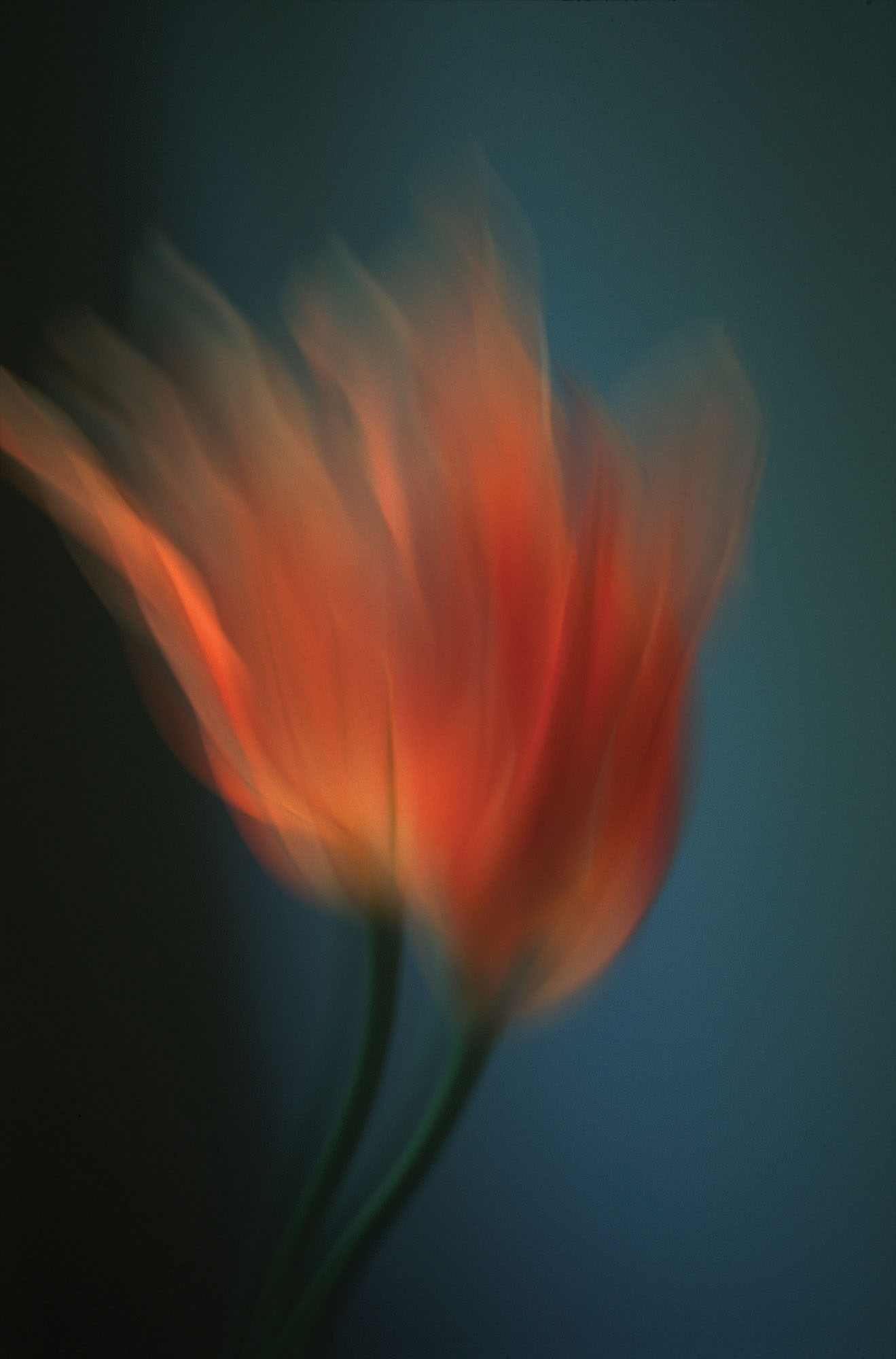 Natural Rhythms