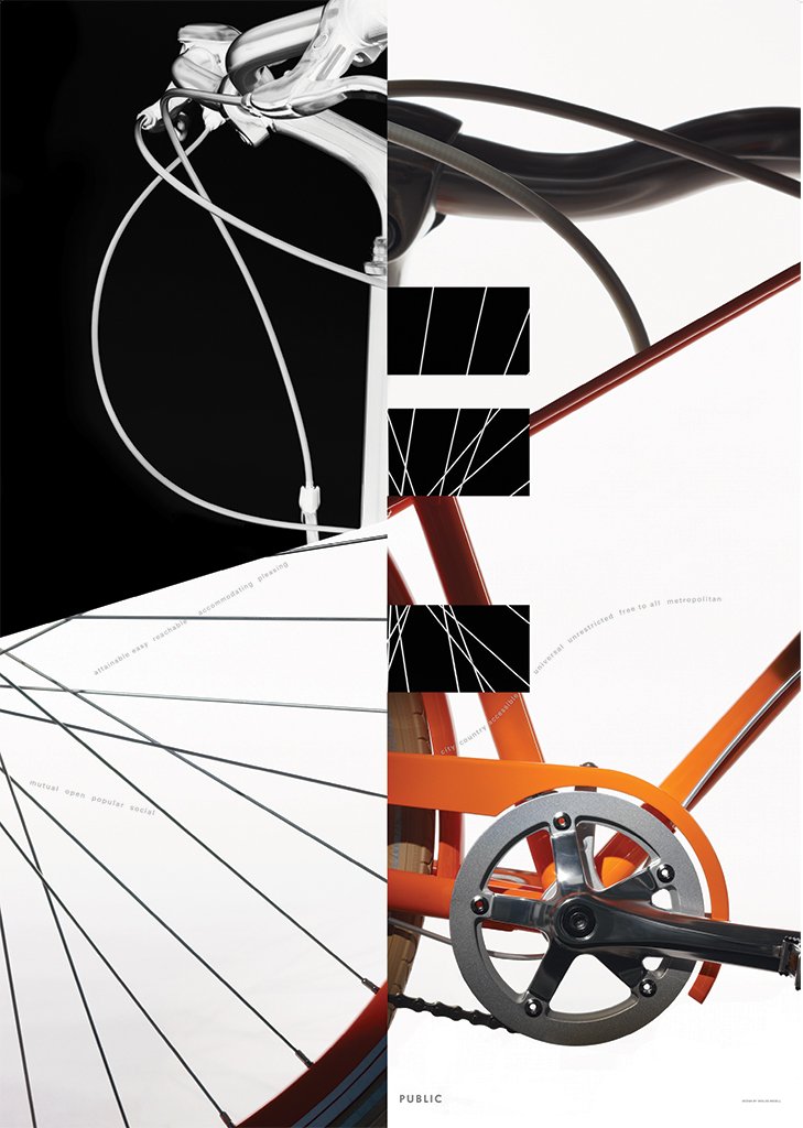 Public Bike