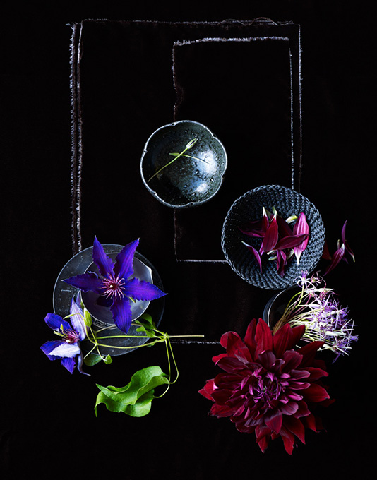 Botanical Study