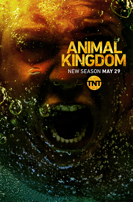 Animal Kingdom S3
