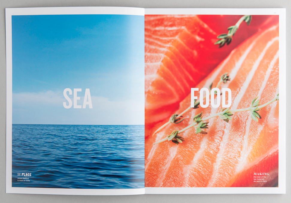 Sanford Annual Report 2014