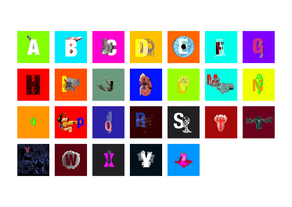 Anatomy A to Z