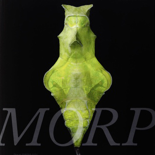 CardCompetition_title__gYxub