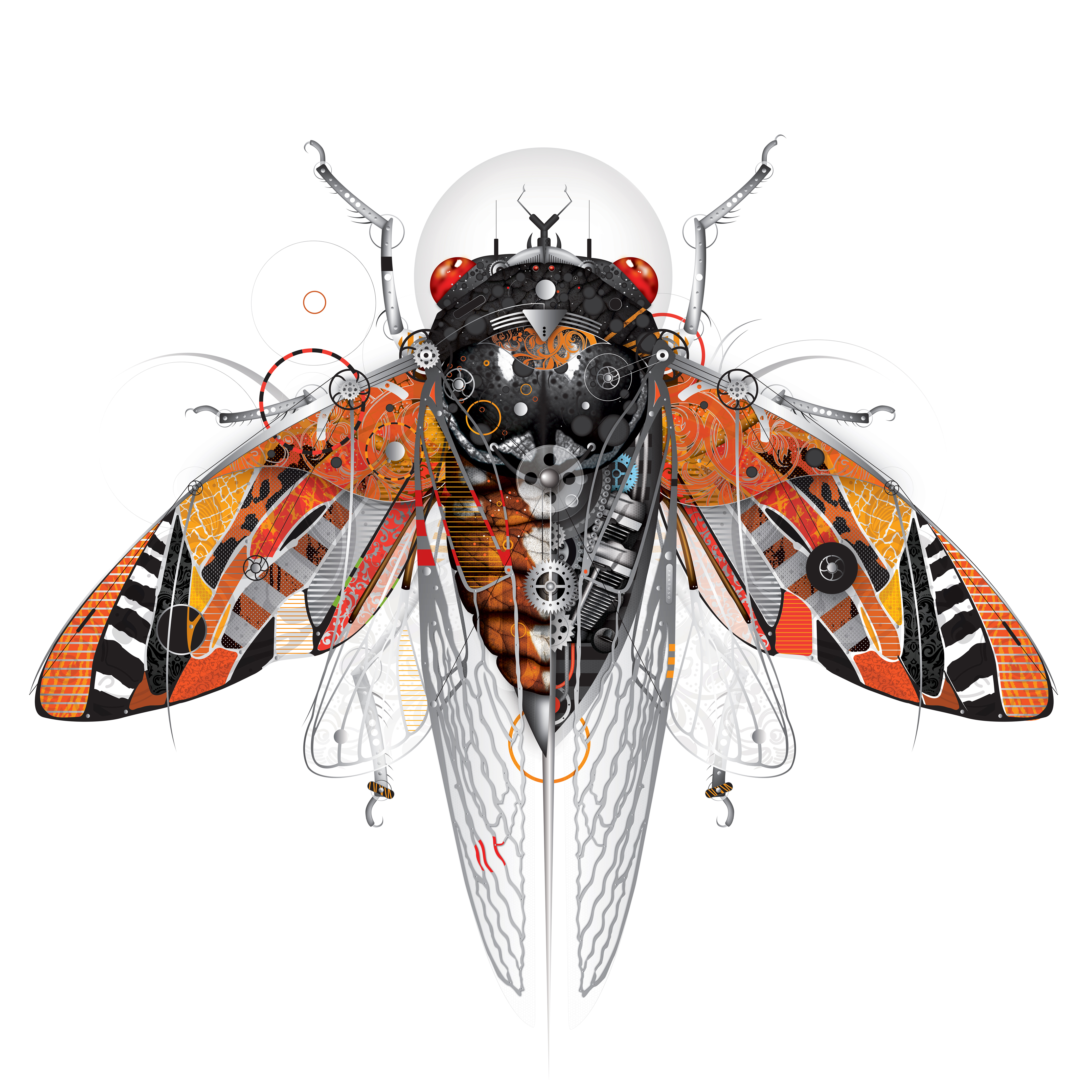 CICADA