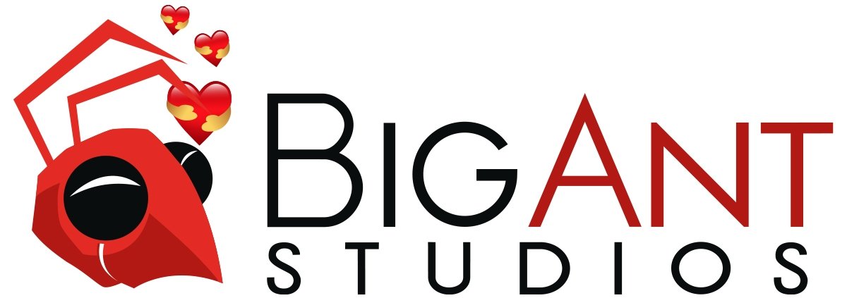 Big Ant Academy