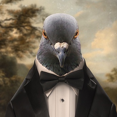 CardCompetition_title__gYxub