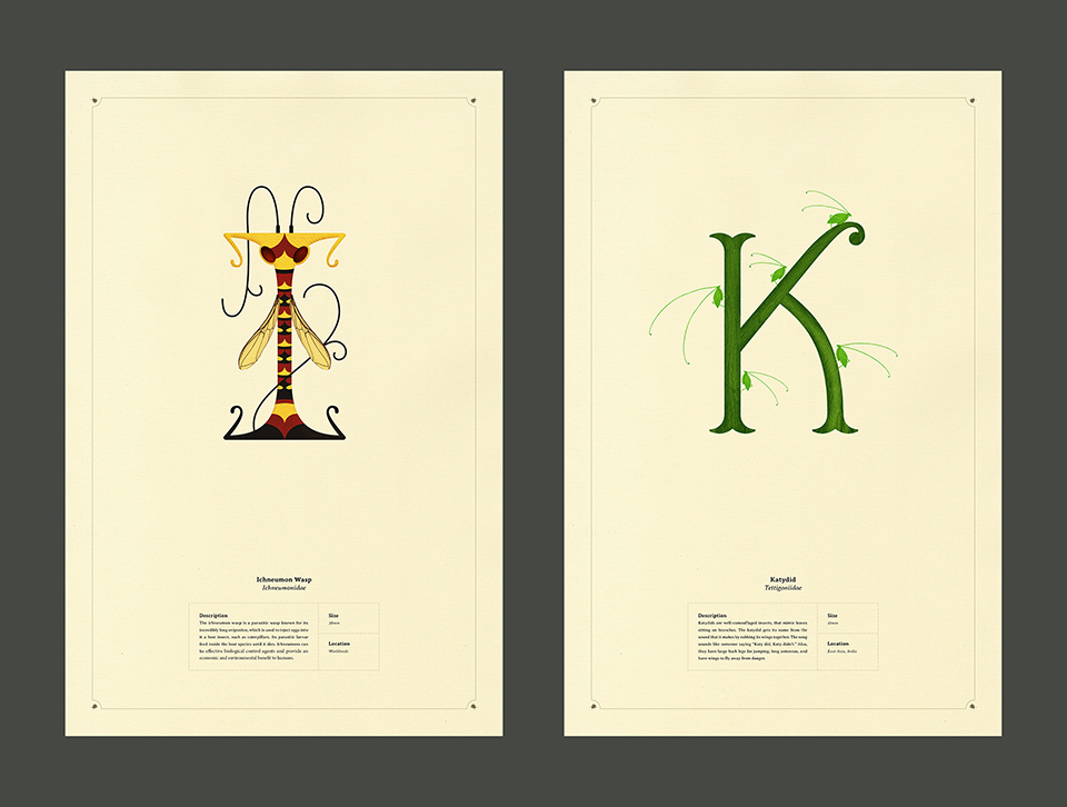 Alphabet Insectorum