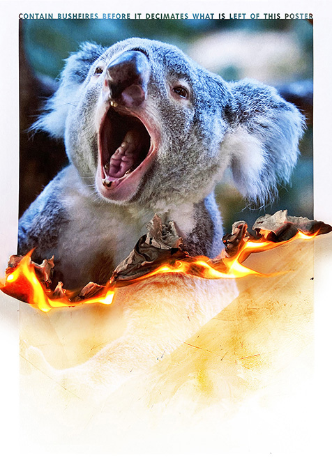 The Burning Poster Series: Koala, Tiger, Bear, Chimpanzee, and Human.