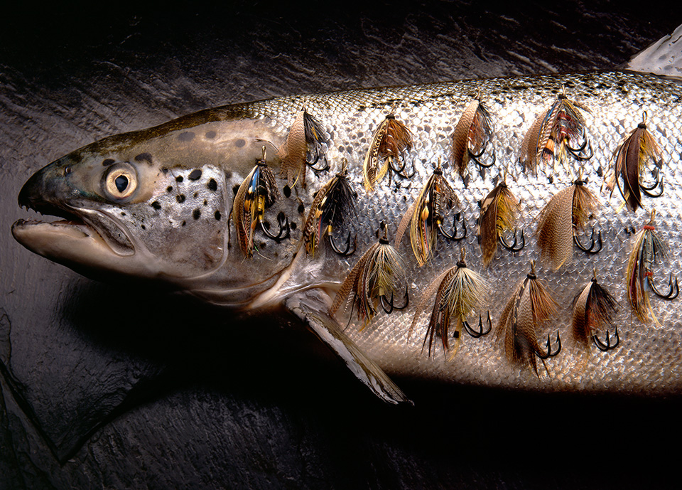 American Icons: Fly Fishing Series